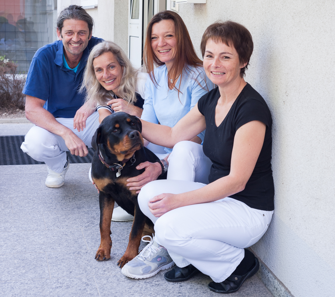 Team Tierarztpraxis Rechberger 4040 Linz